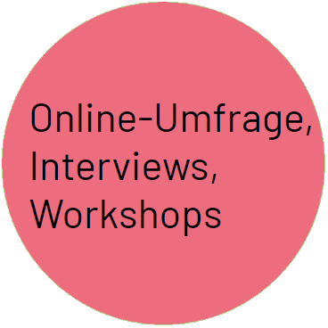 Online-Umfrage, Interviews, Workshops